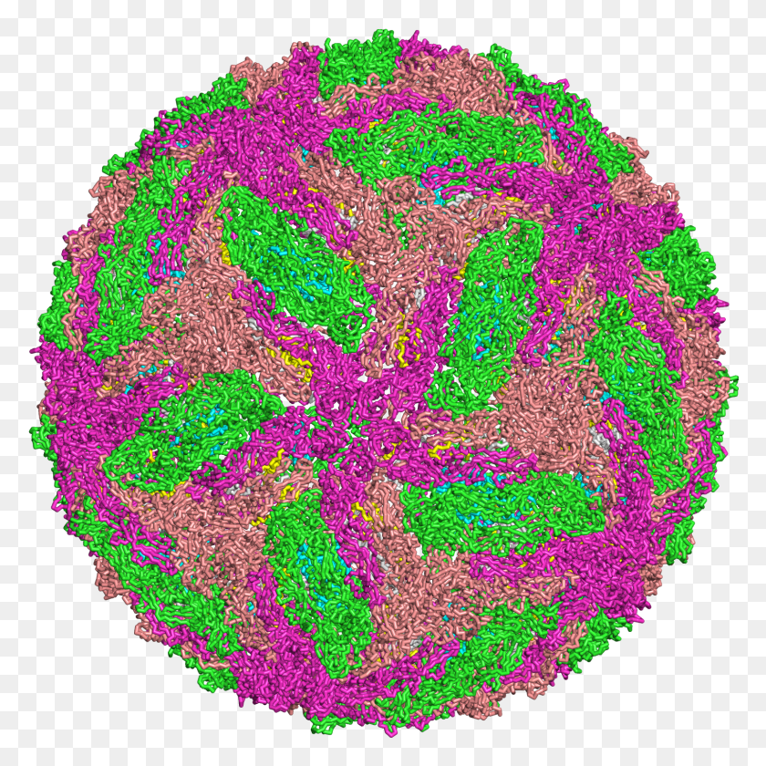 1600x1600 Descargar Png / El Virus Del Dengue Png