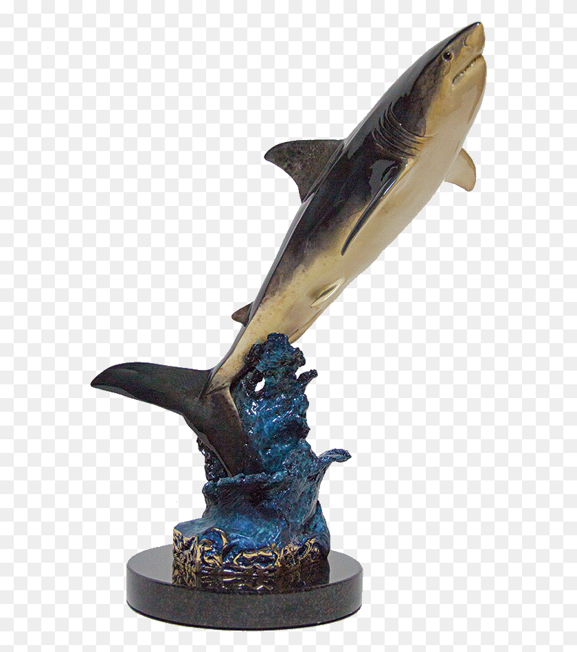 579x890 Описание Изображения Большая Белая Акула, Животное, Морская Жизнь, Рыба Hd Png Скачать