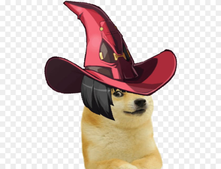 Dog Catches Something, Clothing, Hat, Cowboy Hat, Adult Sticker PNG