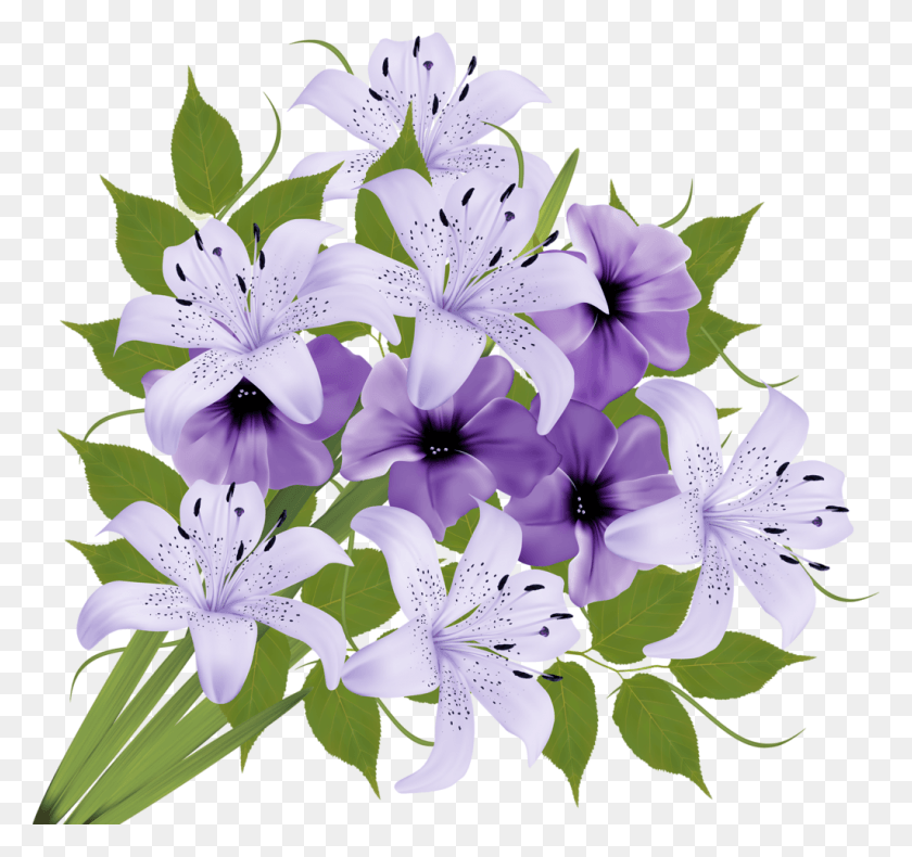 1024x959 Image Du Blog Zezete2 Цветок, Растение, Герань, Цветение Hd Png Скачать
