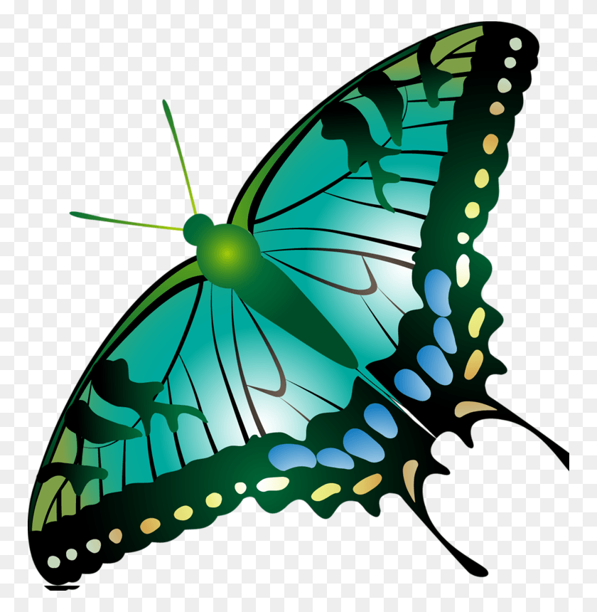 762x800 Image Du Blog Zezete2 The Shinery Moonshine Company, Butterfly, Insect, Invertebrate HD PNG Download