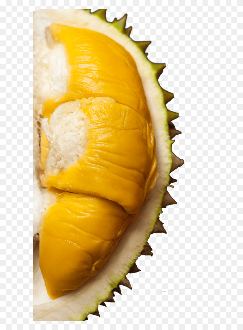 612x1081 Image Durian Transparent Background, Plant, Fruit, Produce HD PNG Download