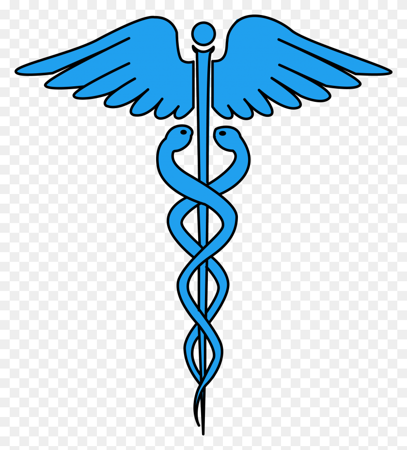 2528x2815 Image For Free Caduceus Medical Health High High Resolution Medical Logo, Symbol, Trademark, Emblem HD PNG Download