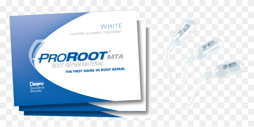 1248x579 Image For Proroot Mta 4 X Graphic Design, Business Card, Paper, Text HD PNG Download