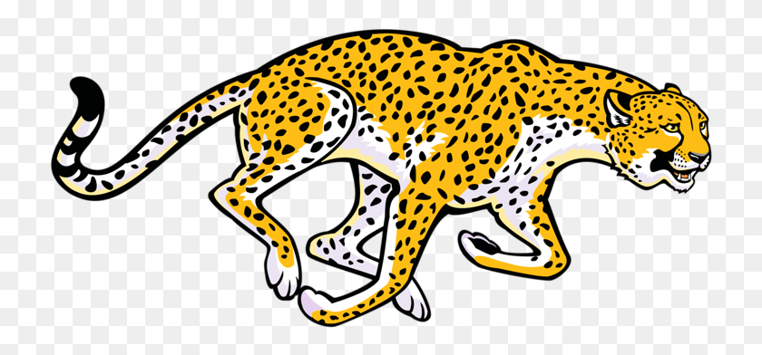 730x332 Image Freeuse Cheetah Blanco Y Negro Clipart Animales Africanos Clipart, La Vida Silvestre, Mamíferos, Animal Hd Png Descargar