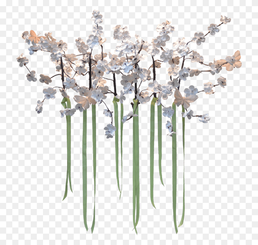 737x737 Image Freeuse Clamart Flowers Decoration, Plant, Flower, Blossom HD PNG Download