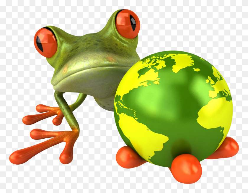 2675x2035 Image Frog HD PNG Download