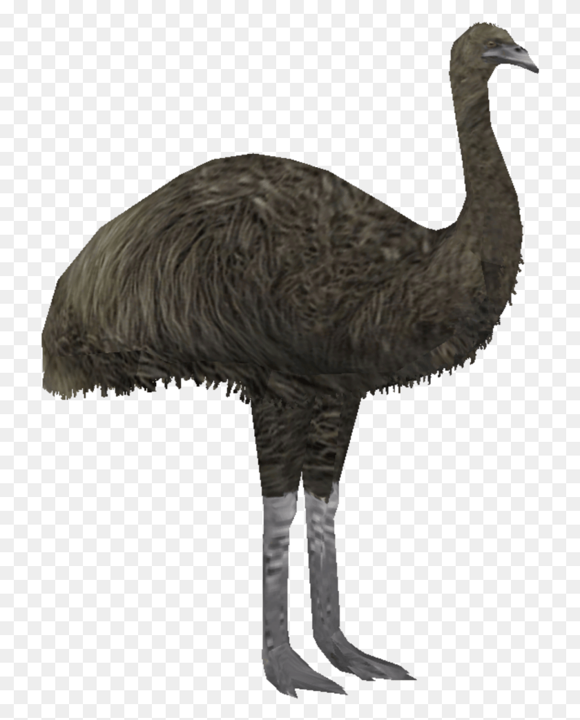 723x983 Image Giant Ringo Zt Library Wiki Big Bird Name, Animal, Ostrich, Emu HD PNG Download