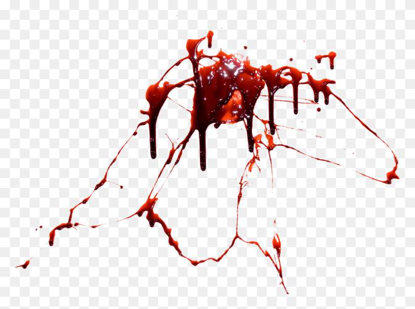 2712x1966 Image Hq Freepngimg Bloody Bullet Hole, Ant, Insect, Invertebrate HD PNG Download