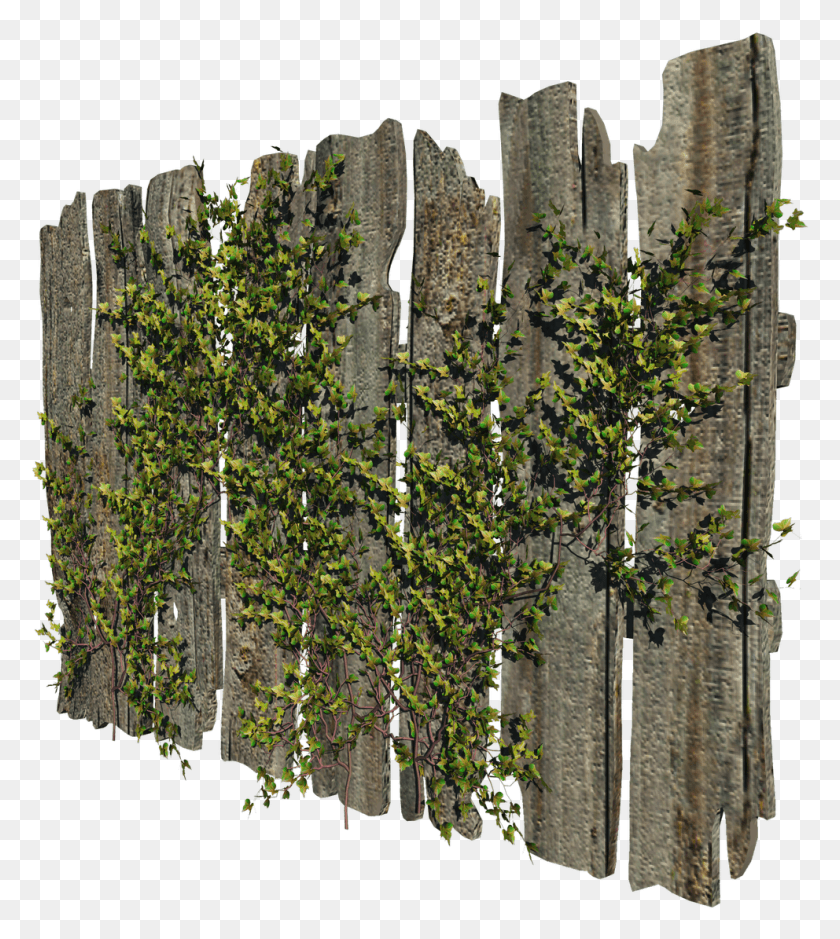 992x1119 Image Information Garden Fence, Plant, Ruins, Ivy HD PNG Download