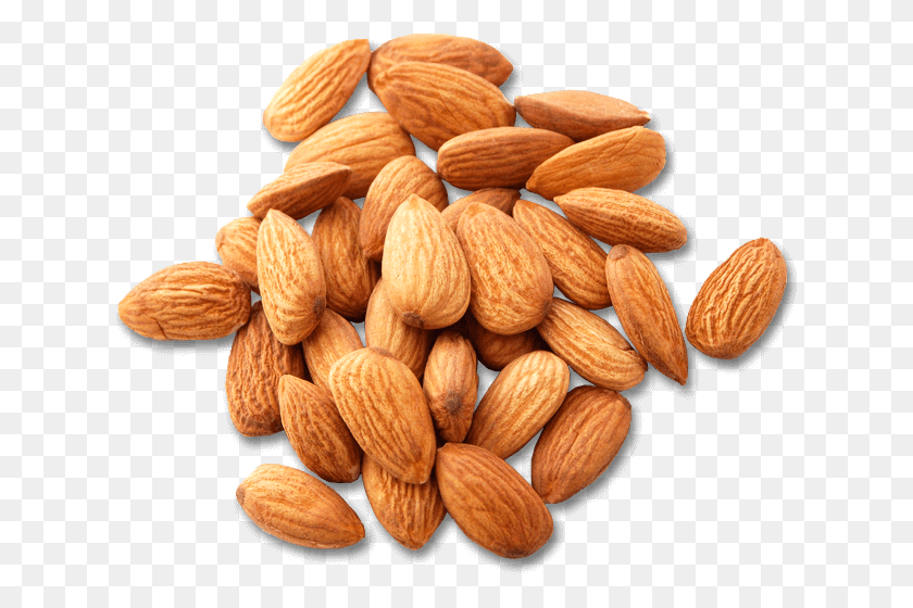 632x500 Image Is Not Available Almond, Nut, Vegetable, Plant HD PNG Download