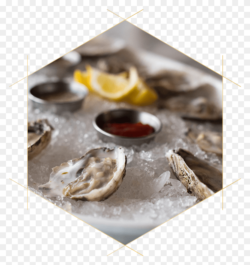 793x844 Image Is Not Available Tiostrea Chilensis, Sea Life, Animal, Oyster HD PNG Download