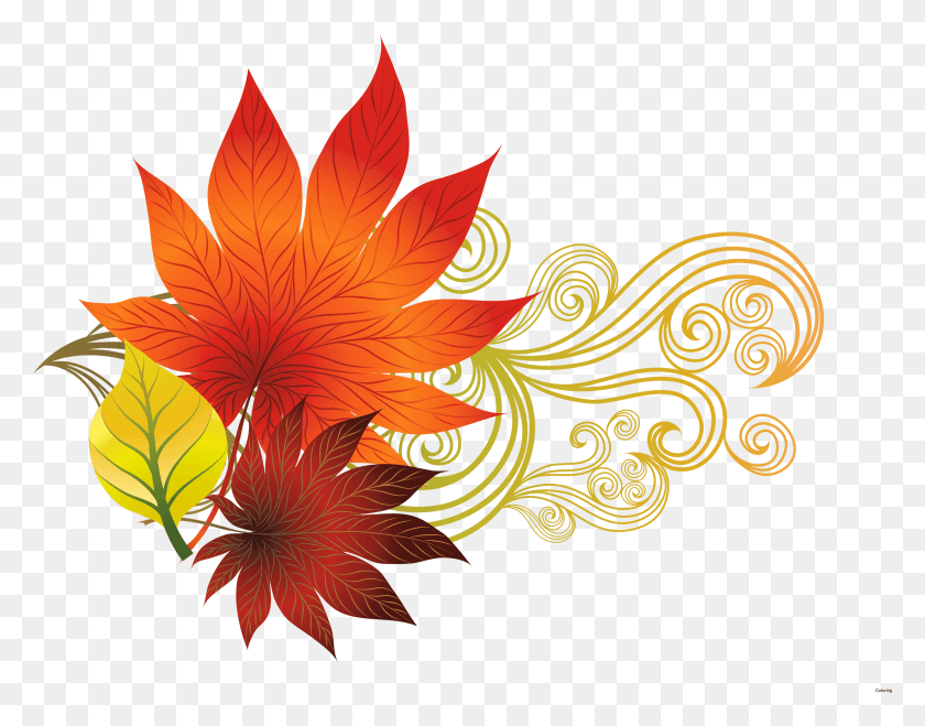 3277x2518 Image Library Library Most Interesting Oak Best Say Autumn Leaves Design, Leaf, Plant, Graphics HD PNG Download