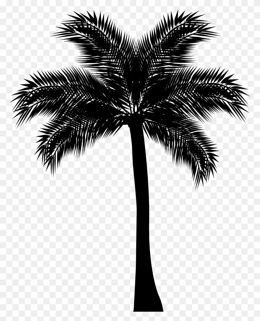 6354x7937 Image Library Library Palm Tree Black And White Clipart, Gray, World Of Warcraft HD PNG Download