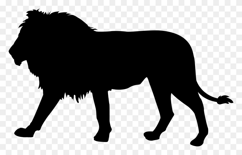 7836x4810 Image Library Stock Silhouette Clip Art Image Gallery Lion Silhouette Transparent Background, Gray, World Of Warcraft HD PNG Download