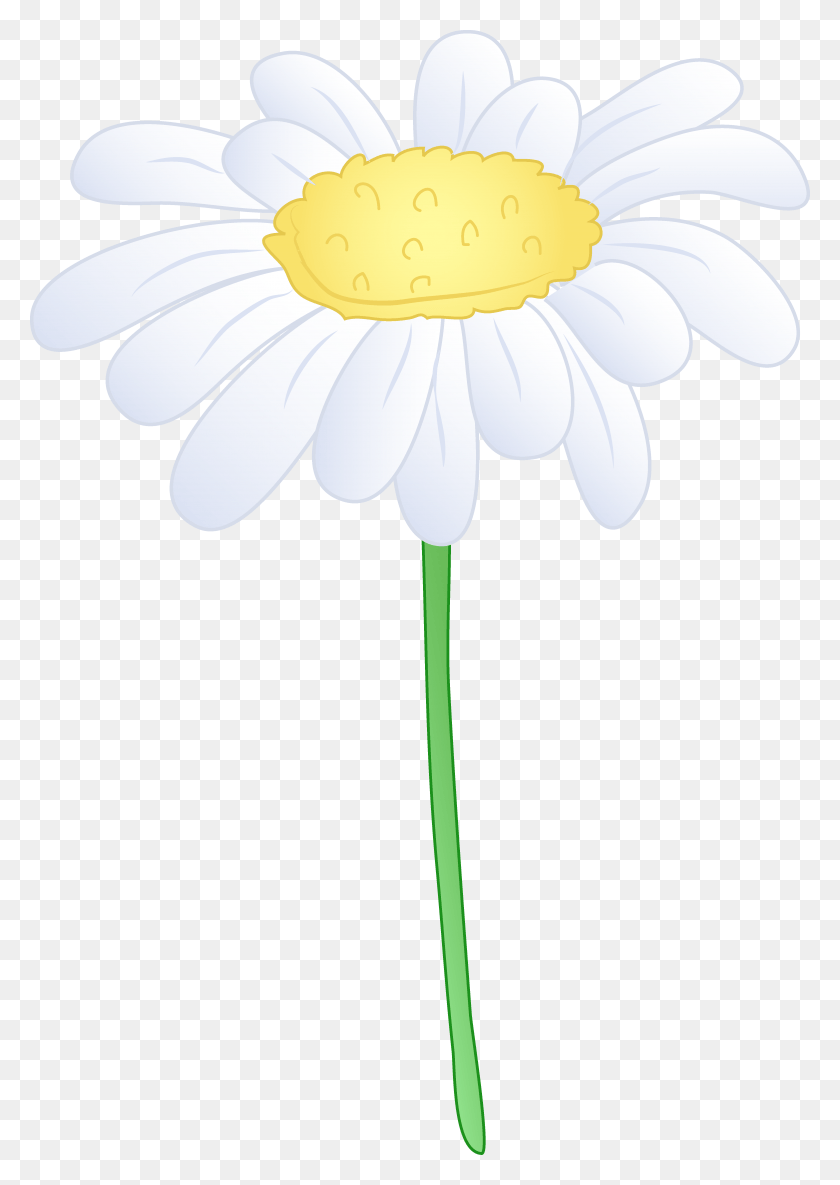 4682x6755 Image Library White Flower Free Clip Art White Daisy Flowers Transparent, Plant, Flower, Blossom HD PNG Download