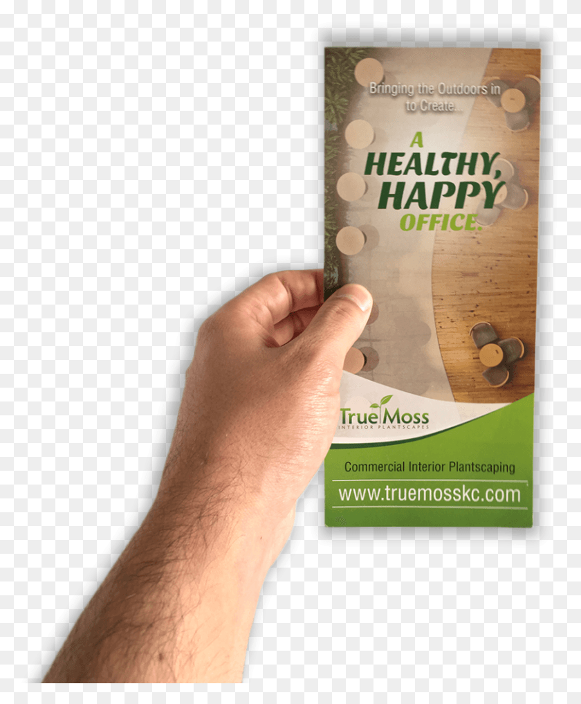 811x996 Image Of A Hand Holding The Rack Card That Andrew Lee Flyer, Person, Human, Poster HD PNG Download