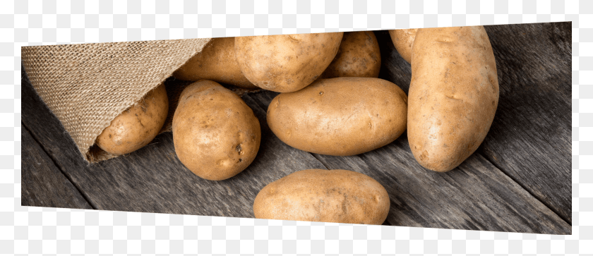 2516x978 Image Of A Sack Of Potatoes Russet Potato, Vegetable, Plant, Food HD PNG Download
