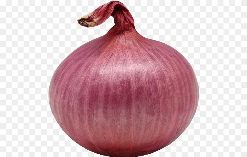 515x536 Image Of An Onion, Food, Produce, Vegetable, Plant PNG