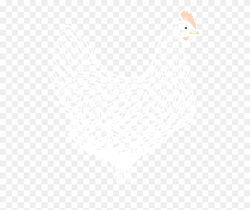 504x646 Image Of Chicken Rooster, Hen, Poultry, Fowl HD PNG Download