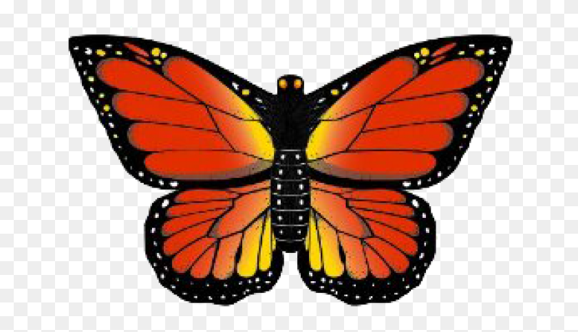 652x423 Изображение Бабочки Монарх Коршун Бабочка Монарх, Бабочка, Насекомое, Беспозвоночные Hd Png Скачать