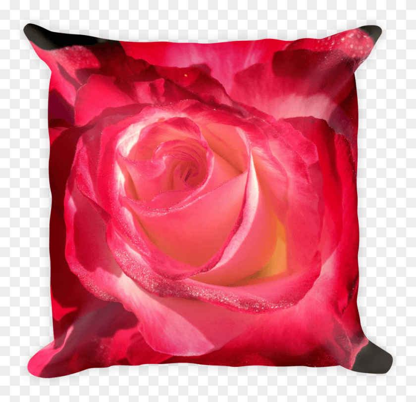 913x882 Image Of Rose Bud Pillow Garden Roses, Cushion, Flower, Plant HD PNG Download