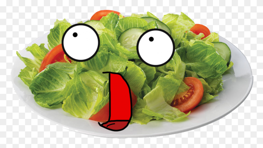 963x510 Image Of Salad Salad, Plant, Lettuce, Vegetable HD PNG Download