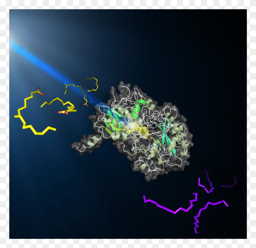 2451x2367 Изображение Молекулы Fap, Преобразующей Фотодекарбоксилазу Жирных Кислот, Свет, Природа, Графика, Hd Png Скачать
