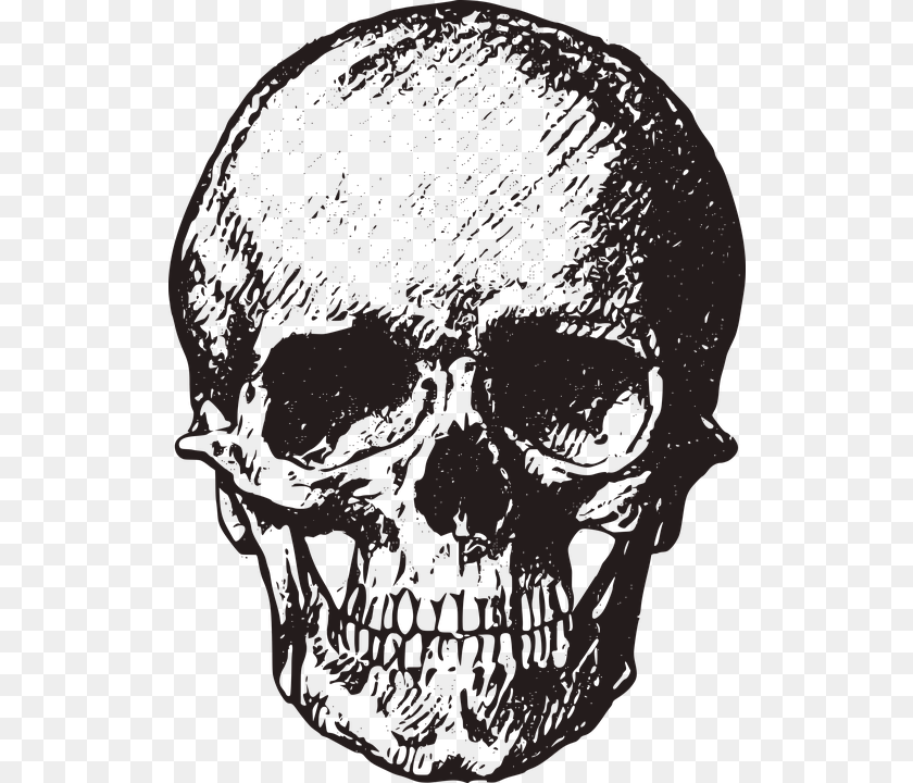 531x720 On Vintage Skull, Person, Head, Face Clipart PNG