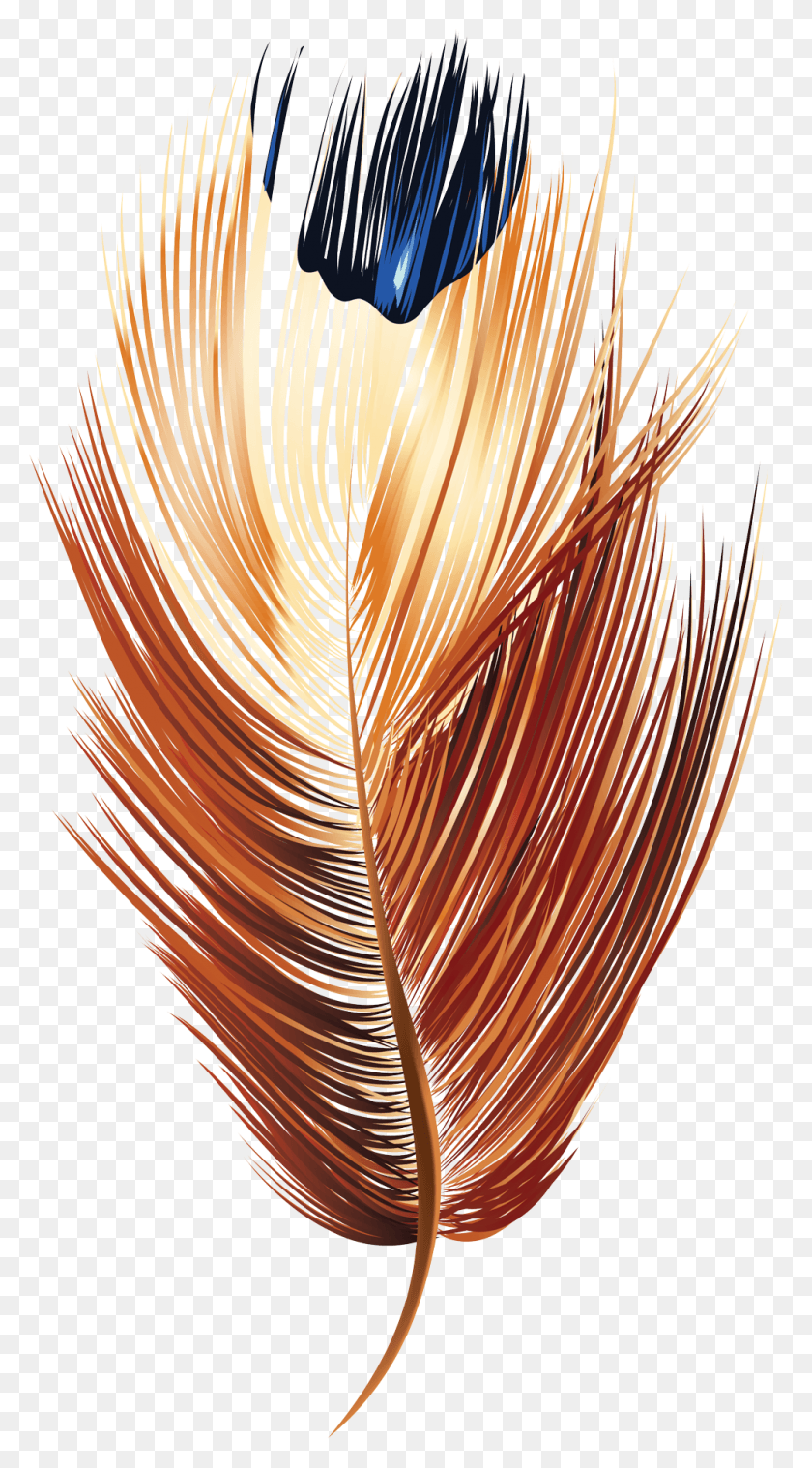 1000x1870 Image Orange Feather Vector, Pattern, Spiral, Graphics HD PNG Download