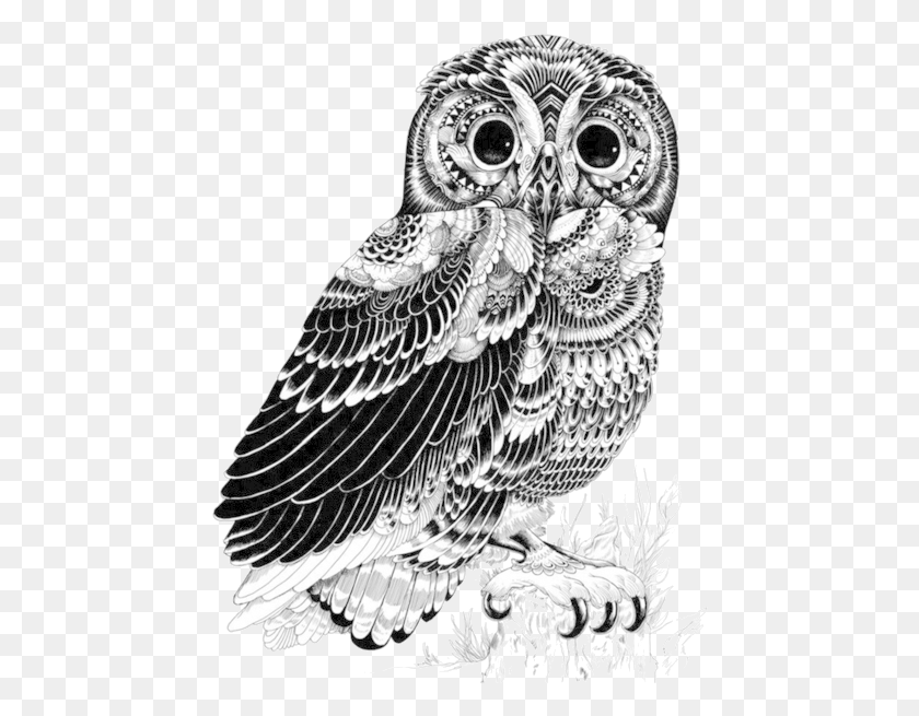 454x595 Image Pen And Ink Art Animals, Bird, Animal, Owl HD PNG Download