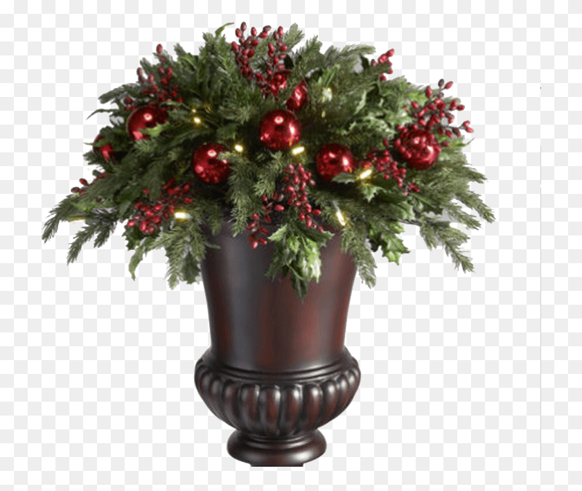723x649 Image Report Christmas Day, Plant, Tree, Ornament HD PNG Download