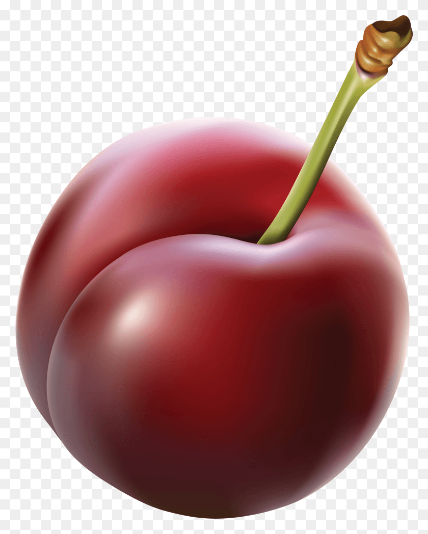 2765x3504 Image Report Plum, Plant, Fruit, Food HD PNG Download