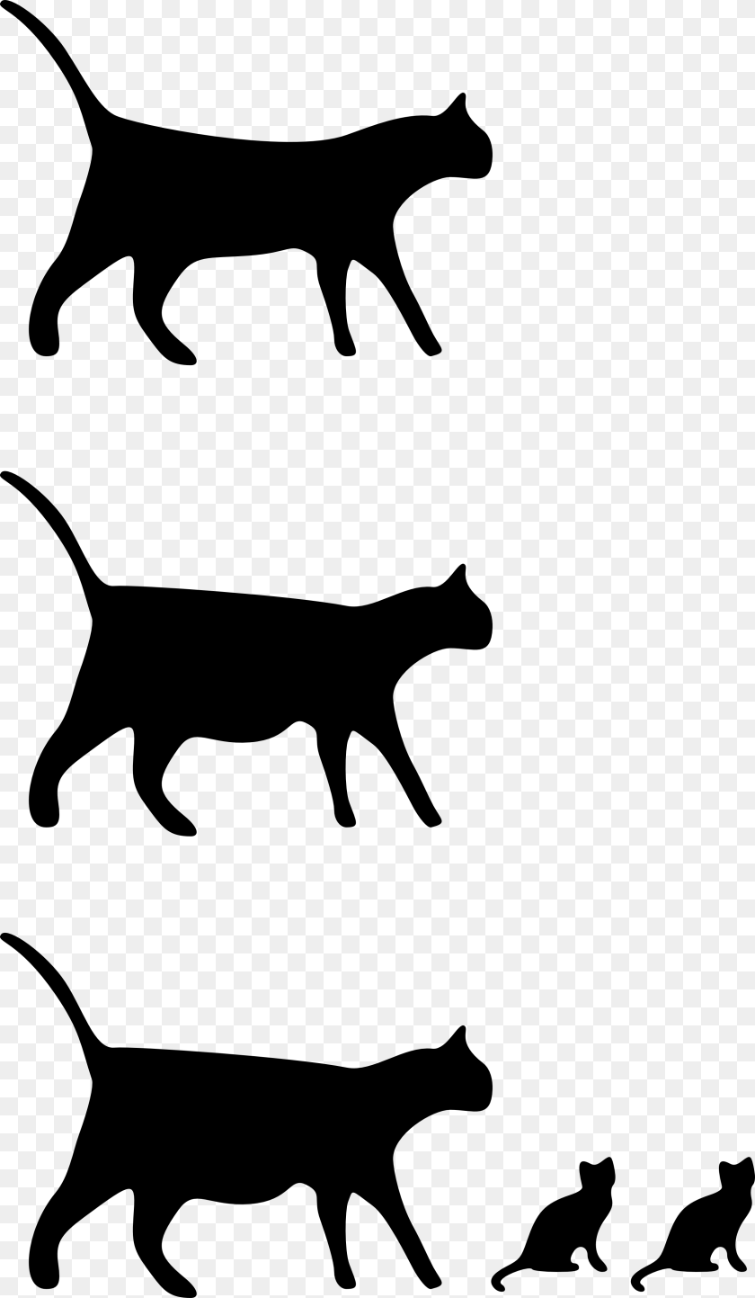 2555x4390 Image Result For Black White Cat Drawing Cats Cats, Silhouette, Stencil, Animal, Mammal Transparent PNG