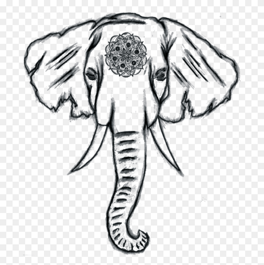 698x786 Descargar Png Elefantes Fáciles De Dibujar, Animales, Invertebrados, Insectos Hd Png