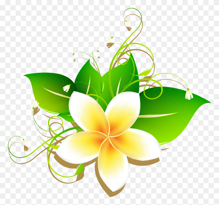 2501x2322 Image Result For Frangipani Drawing, Graphics, Floral Design HD PNG Download