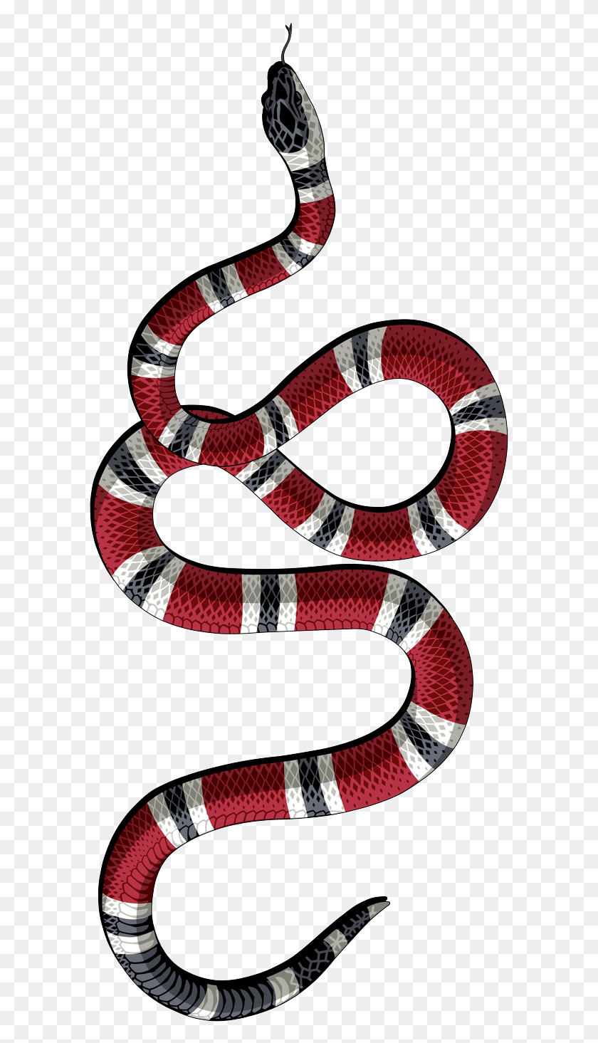 589x1405 Descargar Png Image Result For Gucci Snake Http Funda Gucci Iphone Xs, King Snake, Reptil, Animal Hd Png