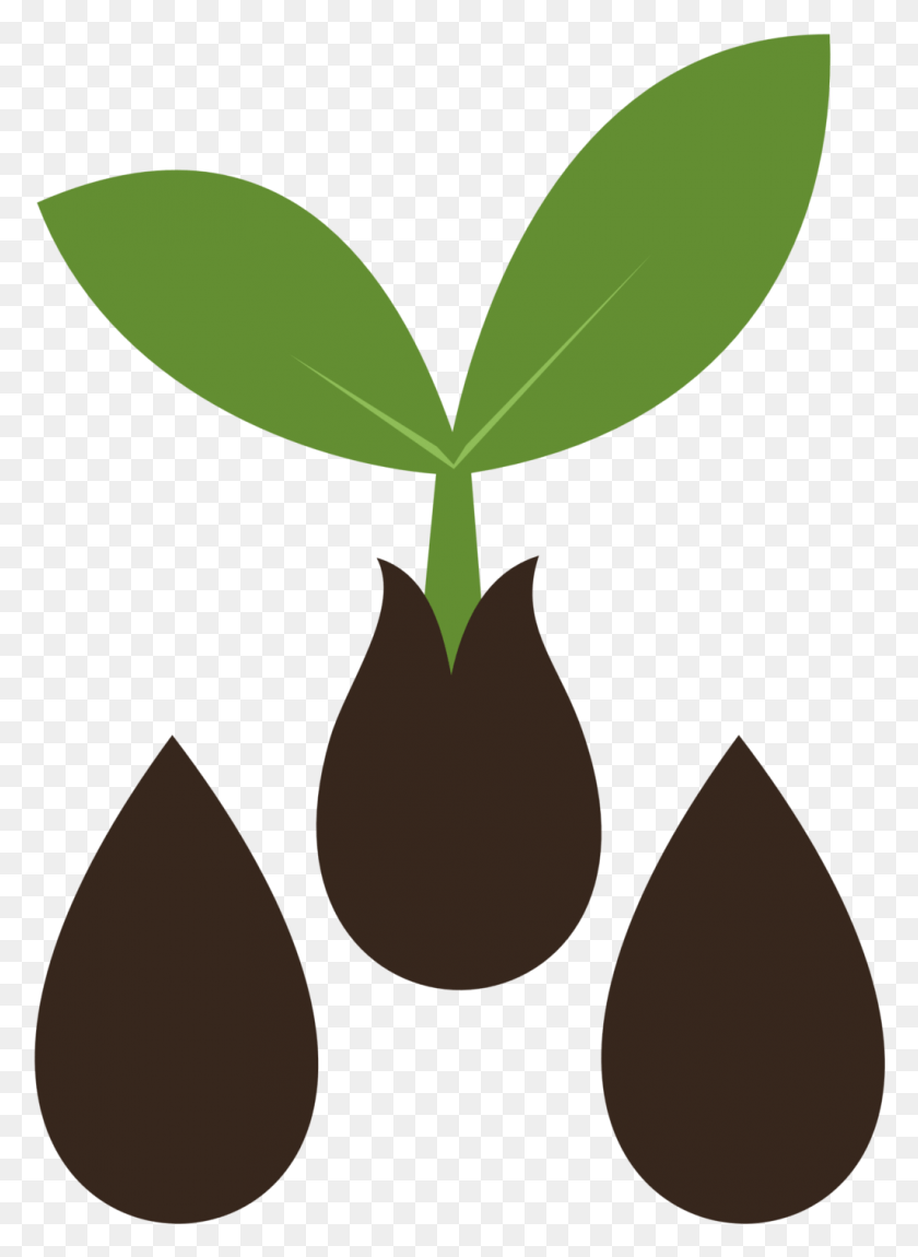 1025x1433 Результат Изображения Для Логотипов Семян Mlp Seed Cutie Mark, Растение, Лист, Овощ Hd Png Скачать