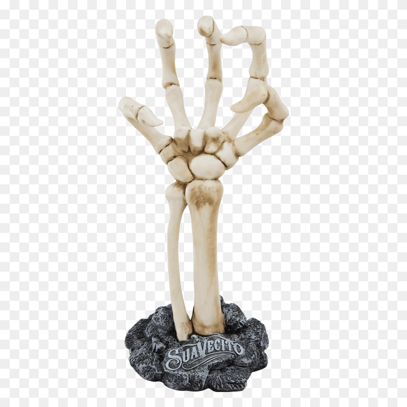 355x779 Image Result For Skeleton Hand Skeleton Hand HD PNG Download