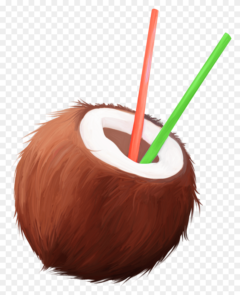 1316x1643 Image Royalty Free Stock Transparent Coconut Straw Cartoon Coconuts, Plant, Fruit, Food HD PNG Download