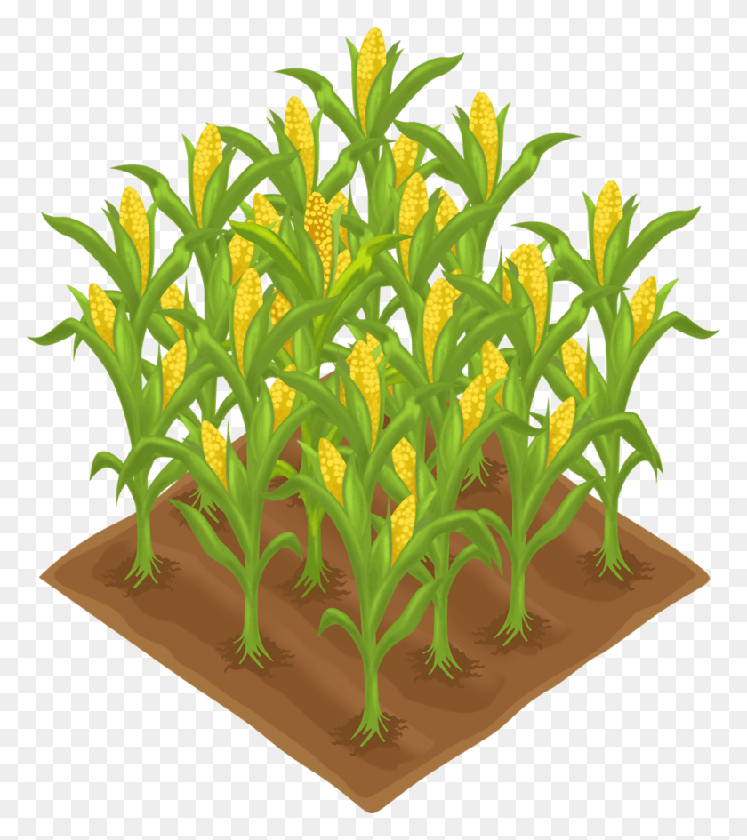 1000x1135 Descargar Png Imagen Stock De Cultivos Agricultura Granja Clip Art Suculenta, Planta, Iris, Flor Hd Png