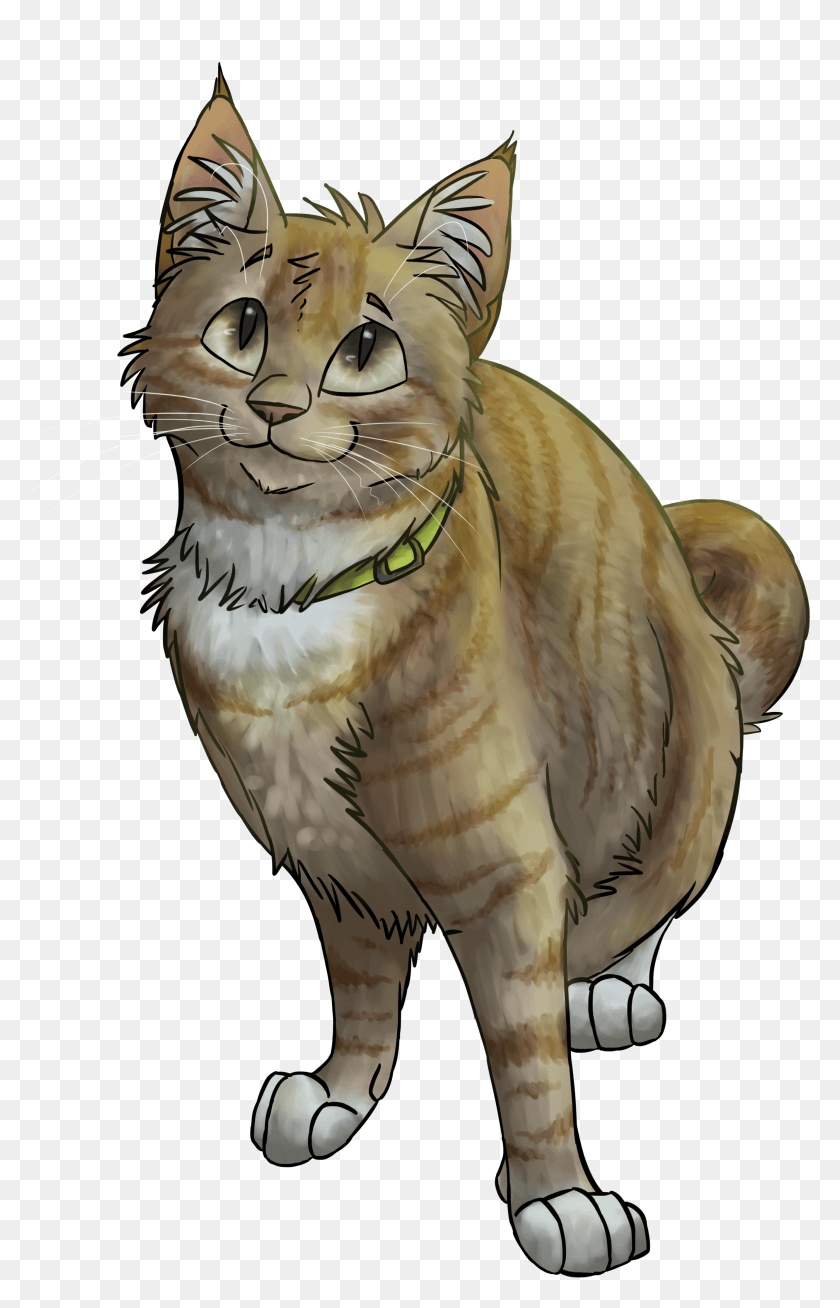 2663x4264 Image Transparent Library Tabby Cat Wildcat Drawing Brown Tabby Warrior Cats HD PNG Download