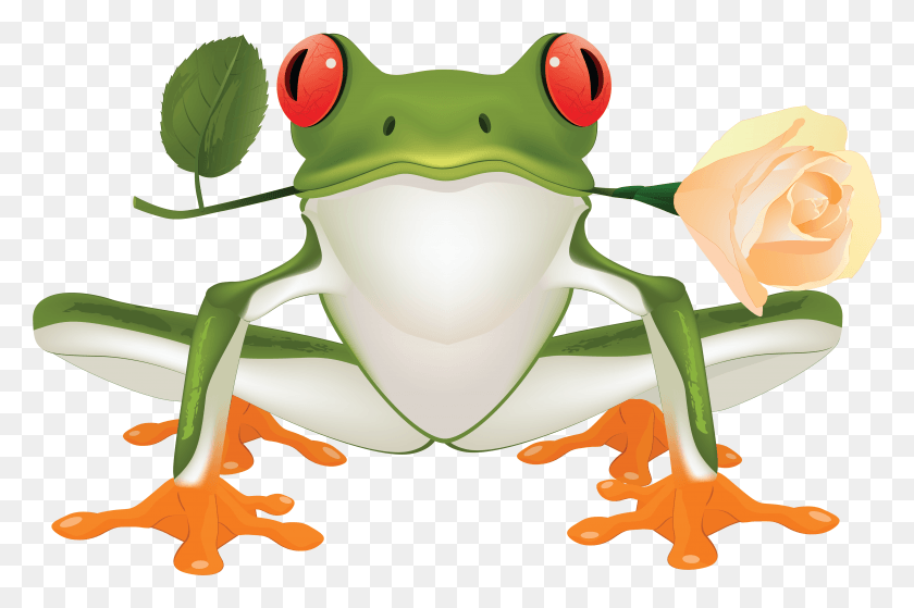 4961x3178 Image Transparent Stock Image Free Frogs Red Eyed Frog Clipart, Amphibian, Wildlife, Animal HD PNG Download
