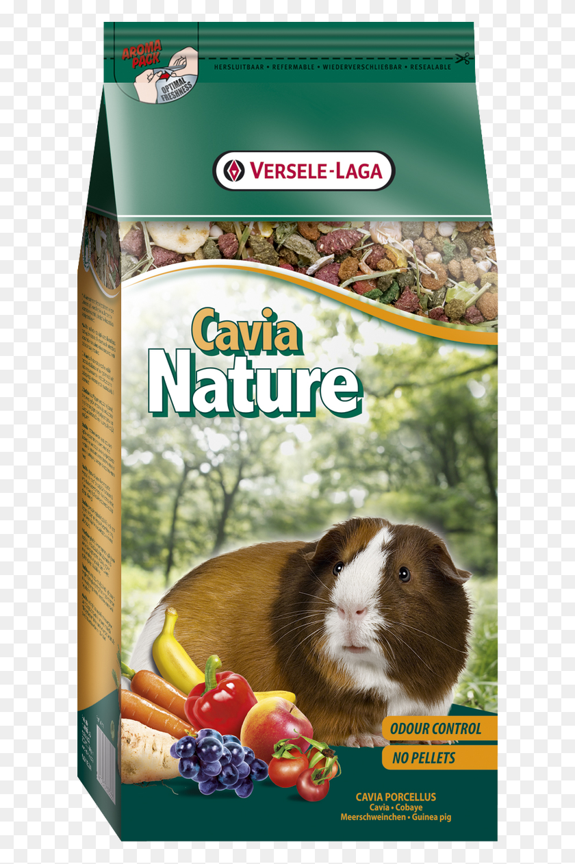 621x1202 Image Versele Laga Guinea Pig Food, Animal, Mammal, Rat HD PNG Download