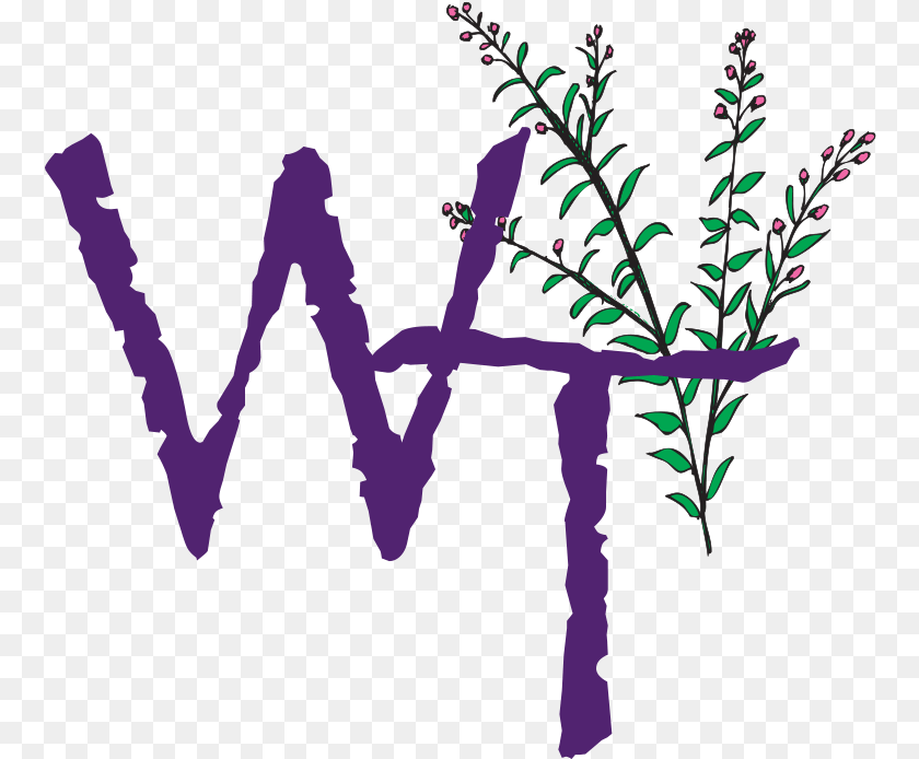 Willow Tree Clipart Full Size Clipart Willow Tree, Purple, Plant, Art, Flower Sticker PNG