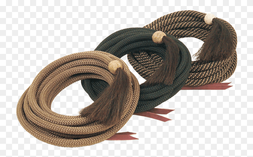 740x464 Image Wire, Hose, Snake, Reptile HD PNG Download
