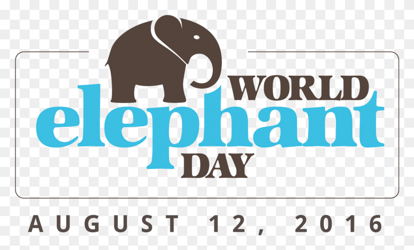 1281x739 Image World Elephant Day 2017, Text, Word, Alphabet HD PNG Download