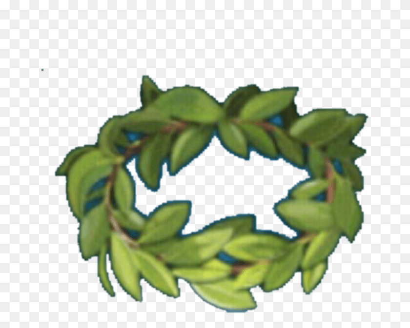 672x613 Image Wreath Tribez Wiki Fandom Powered Plant, Лист, Annonaceae, Дерево Hd Png Скачать