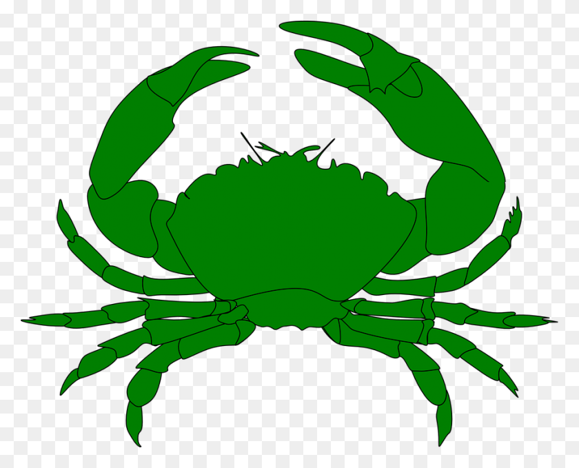 907x720 Imagem Gratis No Pixabay Caranguejo Mar Alimentos Green Crab Clipart, Sea Life, Animal, Seafood HD PNG Download