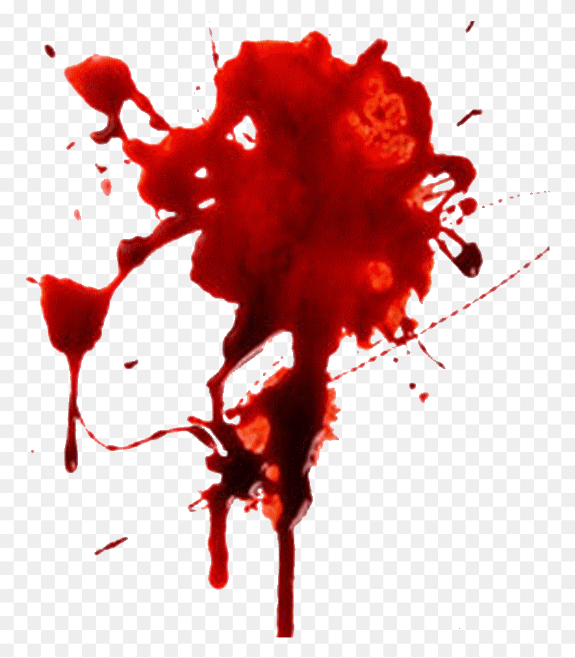 766x901 Imagem Photography Blood, Stain, Pollen, Plant HD PNG Download